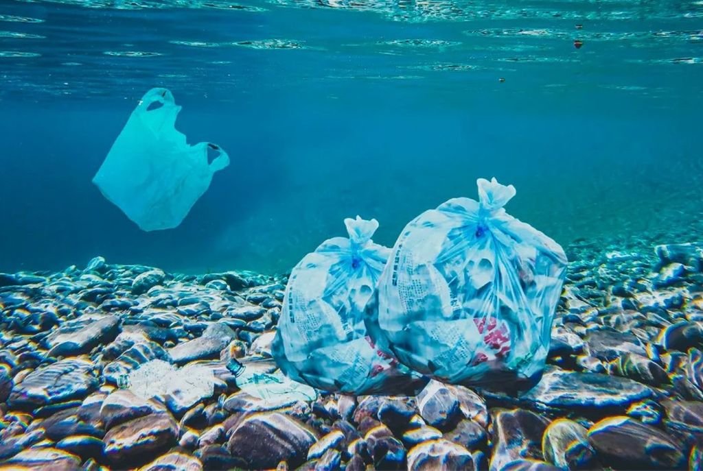 O Brasil se destaca no esforço de monitoramento, liderando o número de registros, mas isso não garante que os ambientes monitorados estejam limpos. Crédito: Reprodução/PixaHive