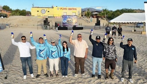 &iquest;Qu&eacute; amenaza a la Ballena Azul en las aguas de Loreto, Baja California Sur?