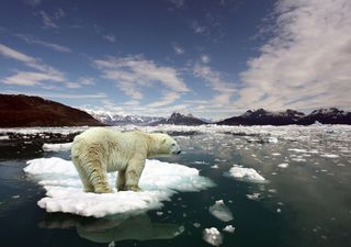 ¿Qué dejó la COP26? “Es un paso importante, pero no es suficiente”