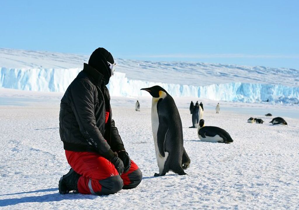 Eisbohrkerne Antarktis Paläoklima Klimawandel