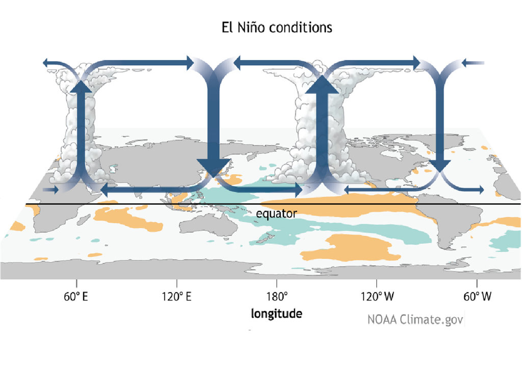 Inicialmente, la circulación con El Niño favorece que las lluvias aumenten en México al final del verano y otoño-invierno; condiciones secas y calurosas se establecen en primavera.