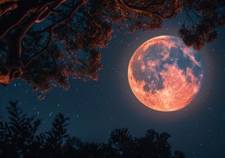 Qué es el lunasticio: el fenómeno que en unas horas nos hará ver la Luna llena como nunca