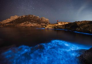 ¿Qué es la bioluminiscencia y dónde puedes ir a verla? El vídeo del fotógrafo murciano del que todo el mundo habla