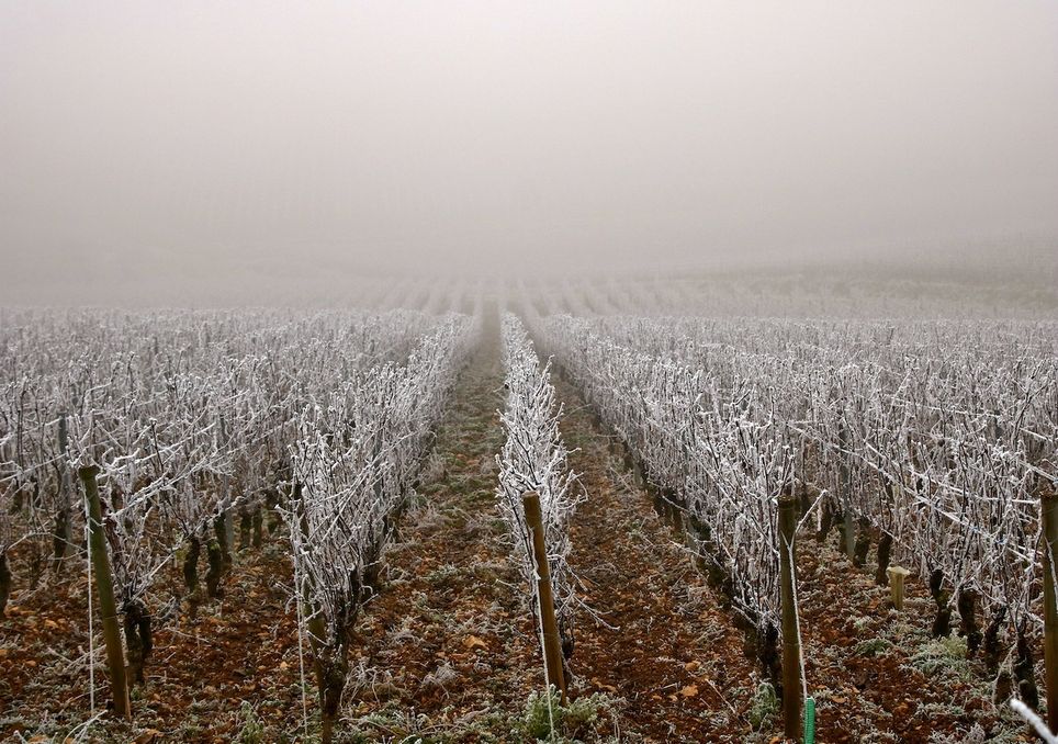 Lorsqu'un sol est cultivé, il présente généralement une plus grande porosité en surface, ce qui permet une plus grande conductivité thermique, favorisant le gel. Lorsqu'un sol est cultivé, il présente généralement une plus grande porosité en surface, ce qui permet une plus grande conductivité thermique, favorisant le gel.