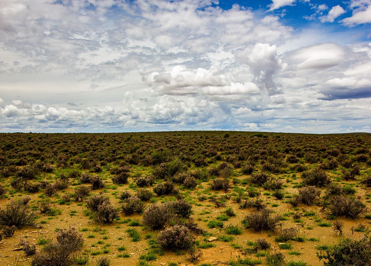La sequía sigue siendo una de las mayores preocupaciones que se le presenta al agro en Argentina, con la presencia del evento La Niña que de a poco irá perdiendo fuerza.