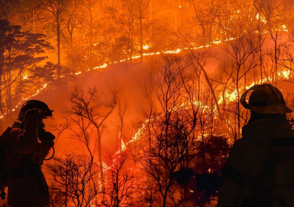 Bomberos, incendios forestales, fuego