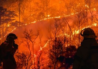 ¿Qué está pasando con los incendios forestales en Chile? Alertas vigentes y estadística de CONAF