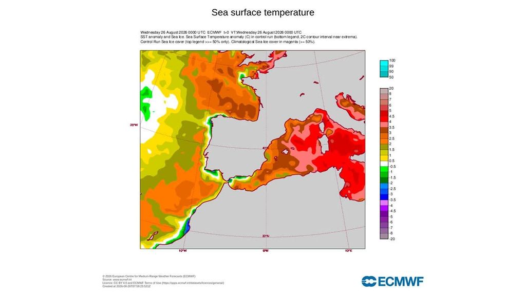En los mapas de anomalías de temperatura del mar del ECMWF podemos apreciar que en Málaga y el Estrecho el agua deñ mar está bastante más fría de lo habitual en estos momentos.