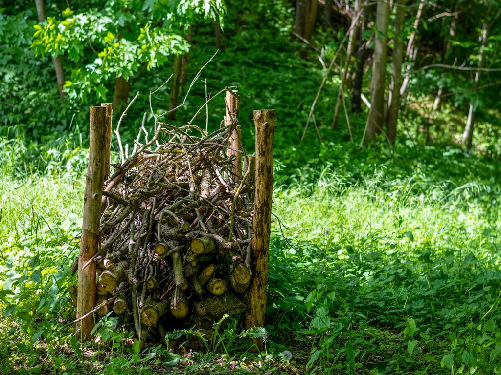 Vue d'une haie sèche de face. Vue d'une haie sèche de face.