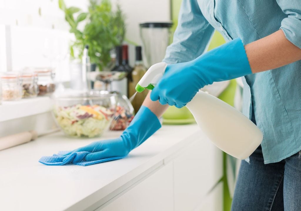 Se ha puesto de moda buscar productos más amables con el medio ambiente para limpiar Se ha puesto de moda buscar productos más amables con el medio ambiente para limpiar