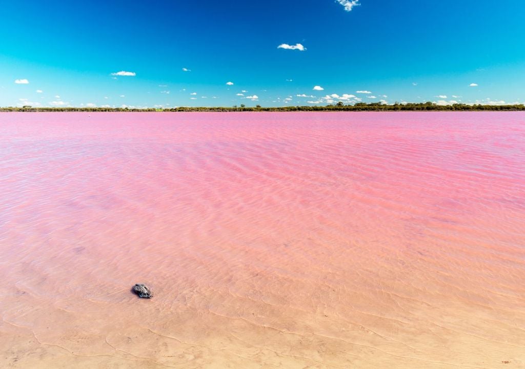 Lago rosado Lago rosado
