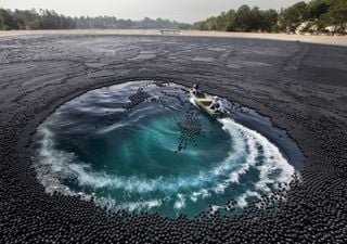 ¿Qué hacen 96 millones de esferas negras flotando en un lago?