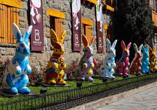 Qué hacer en Bariloche en Semana Santa, disfrutá del fin de semana largo en la Patagonia 