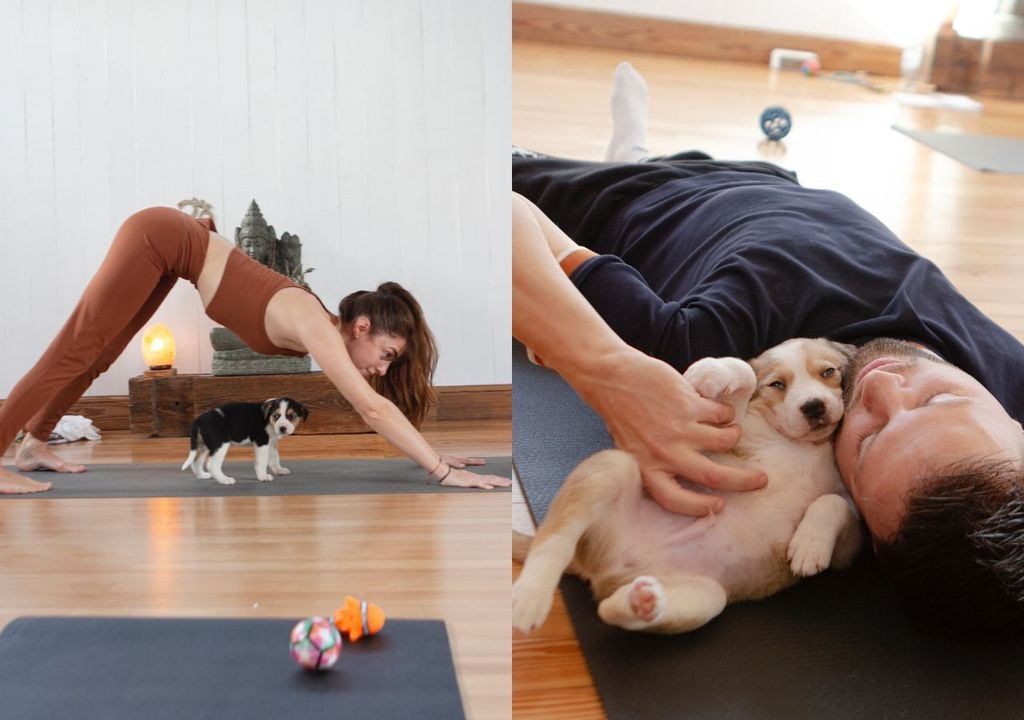 "Yoga with them" en Buenos Aires "Yoga with them" en Buenos Aires
