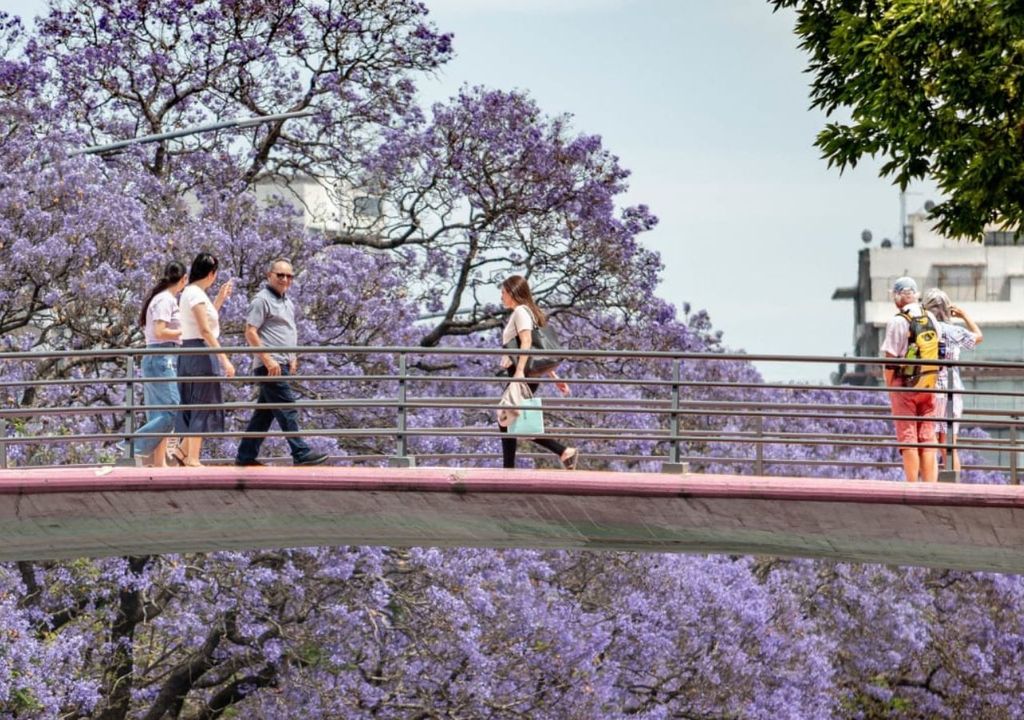 Qué hacer en Buenos Aires este fin de semana: los mejores planes del 17 al 19 de octubre Qué hacer en Buenos Aires este fin de semana: los mejores planes del 17 al 19 de octubre