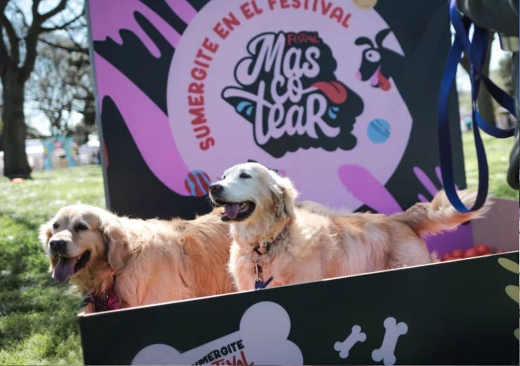 Festival Mascotear