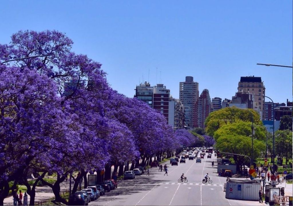 Primavera en Buenos Aires