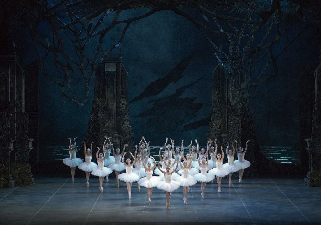 Colón para niños: El lago de los cisnes