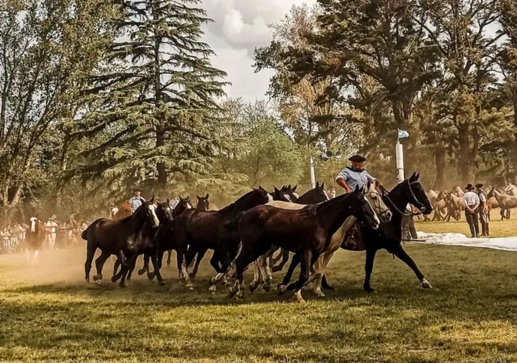 Fiesta del Caballo en Bragado