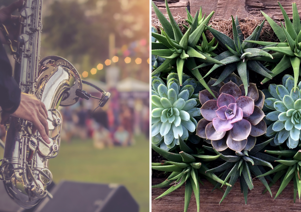 Múltiples festivales, ferias y exposiciones de diversas temáticas estarán en la CDMX este fin de semana.