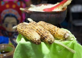 Qué hacer en CDMX este fin de semana del 12 al 14 de septiembre: Feria Nacional del Elote 2025