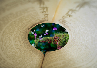 Qué hacer en CDMX este fin de semana del 18 al 20 de abril: arte, música y tradiciones despidiendo Semana Santa