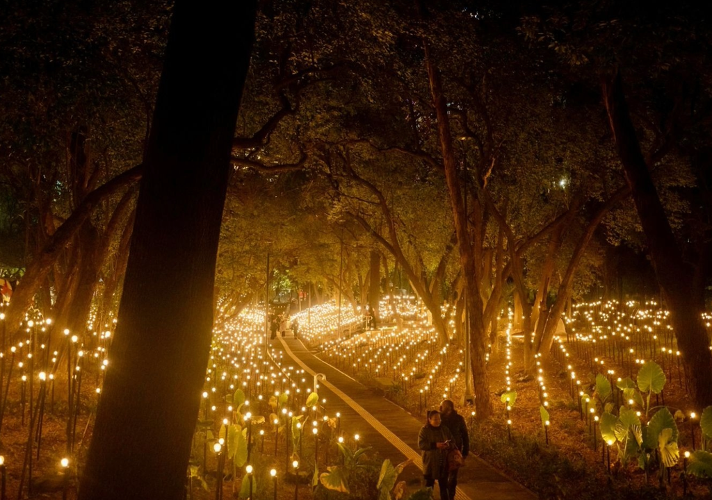 Sector iluminado del Bosque de Chapultpec bajo la exposición Jardín Inconcluso. Imagen tomada de INBAL.