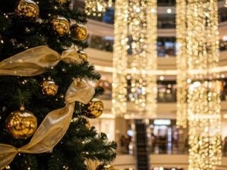 Qué hacer en CDMX este fin de semana del 21 al 23 de noviembre: Conciertos, Festivales y actividades familiares