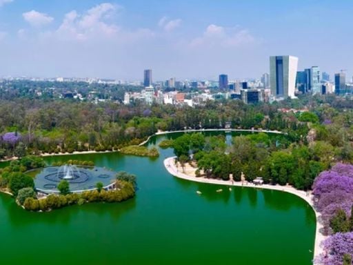 Qu&eacute; hacer en CDMX este fin de semana del 6 al 8 de febrero: Semana del Arte, ferias, cine y m&aacute;s