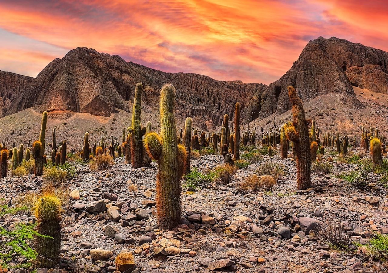 Qué hacer en Salta en otoño: 72 horas de experiencias únicas en el ...