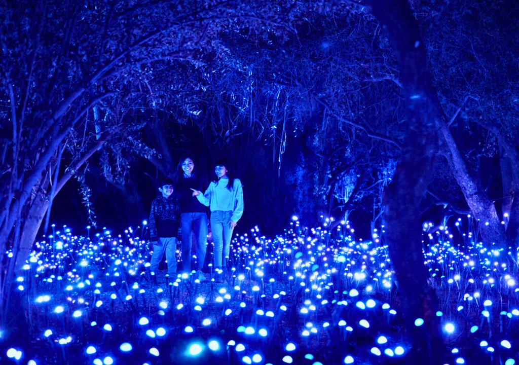 Recorrido inmersivo Light Cycles.