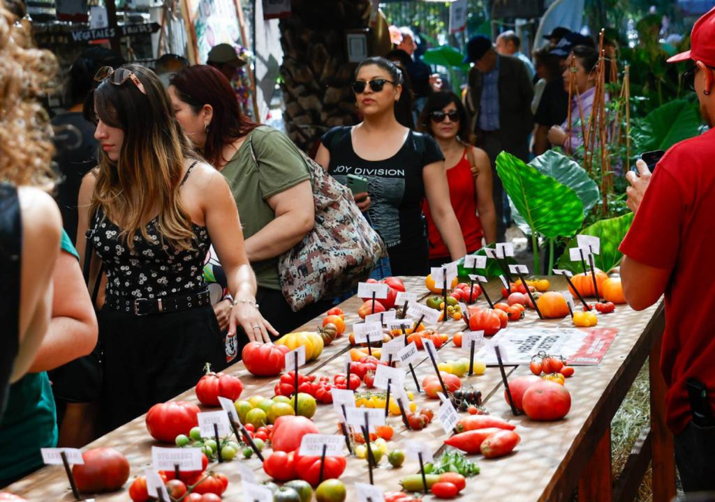 Este fin de semana se realizará el Festival del Tomate en Providencia. Crédito: Municipalidad de Providencia.