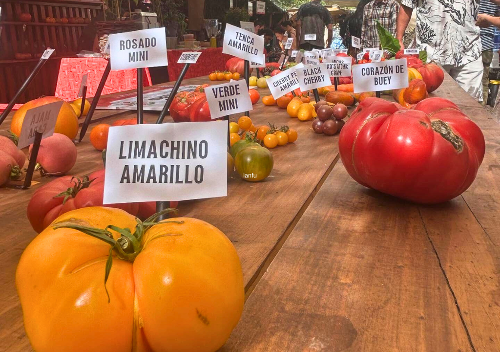 En el Festival del Tomate se podrán degustar diferentes variedades de este fruto. Crédito: Municipalidad de Providencia.