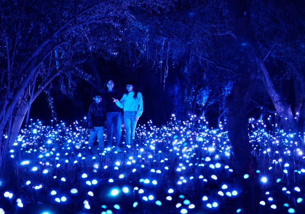 Light Cycles, experiencia inmersiva en Parquemet.