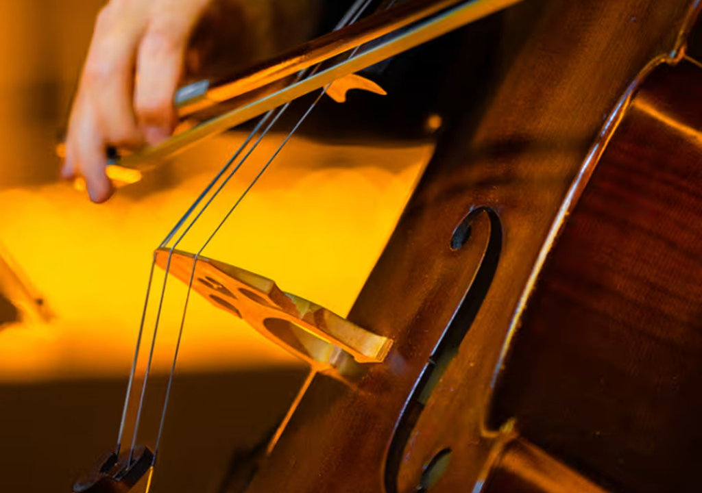 Candlelight Tributo a Madonna. Candlelight Tributo a Madonna.