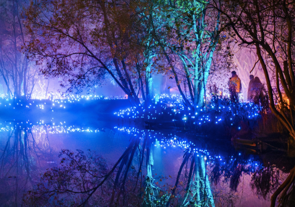 Light Cycles en el Parque Metropolitano de Santiago. Light Cycles en el Parque Metropolitano de Santiago.