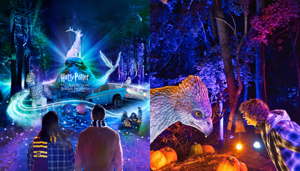 Experiencia del Bosque Prohibido de Harry Potter en Santiago. La Experiencia del Bosque Prohibido estará en el Parque Quinta Normal hasta principios de julio. Crédito: Fever.