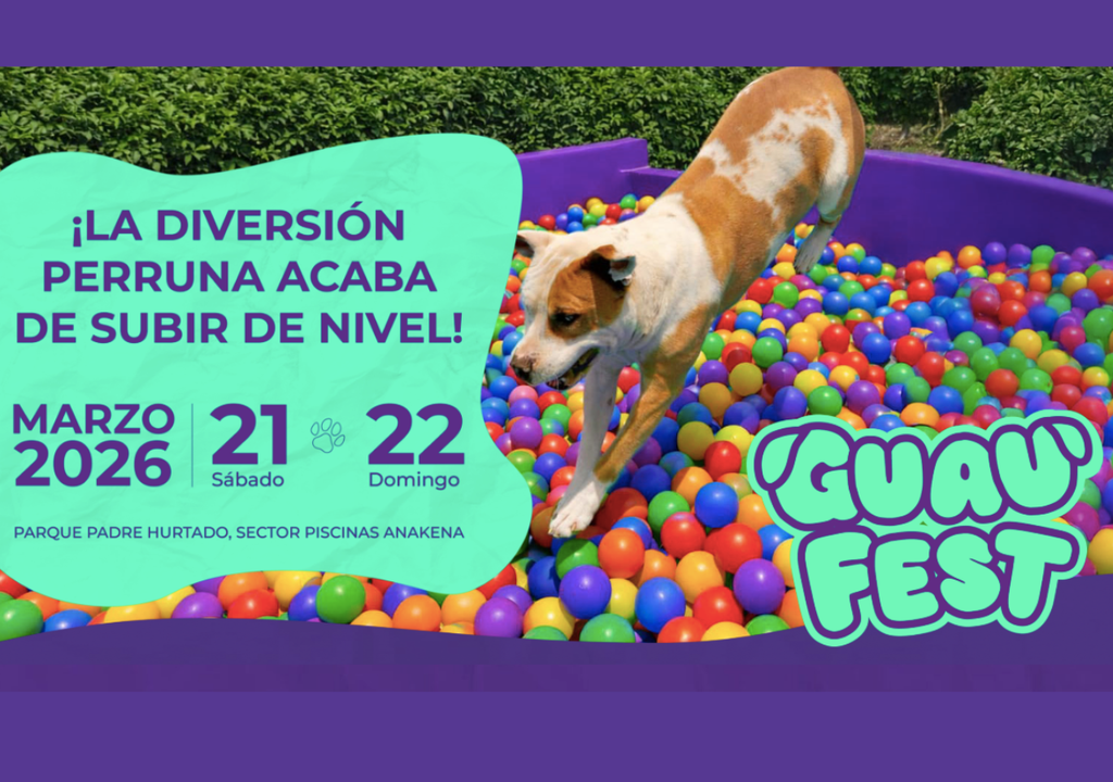El primer parque de diversiones para perros regresa a Santiago este fin de semana. Crédito: guaufest.cl
