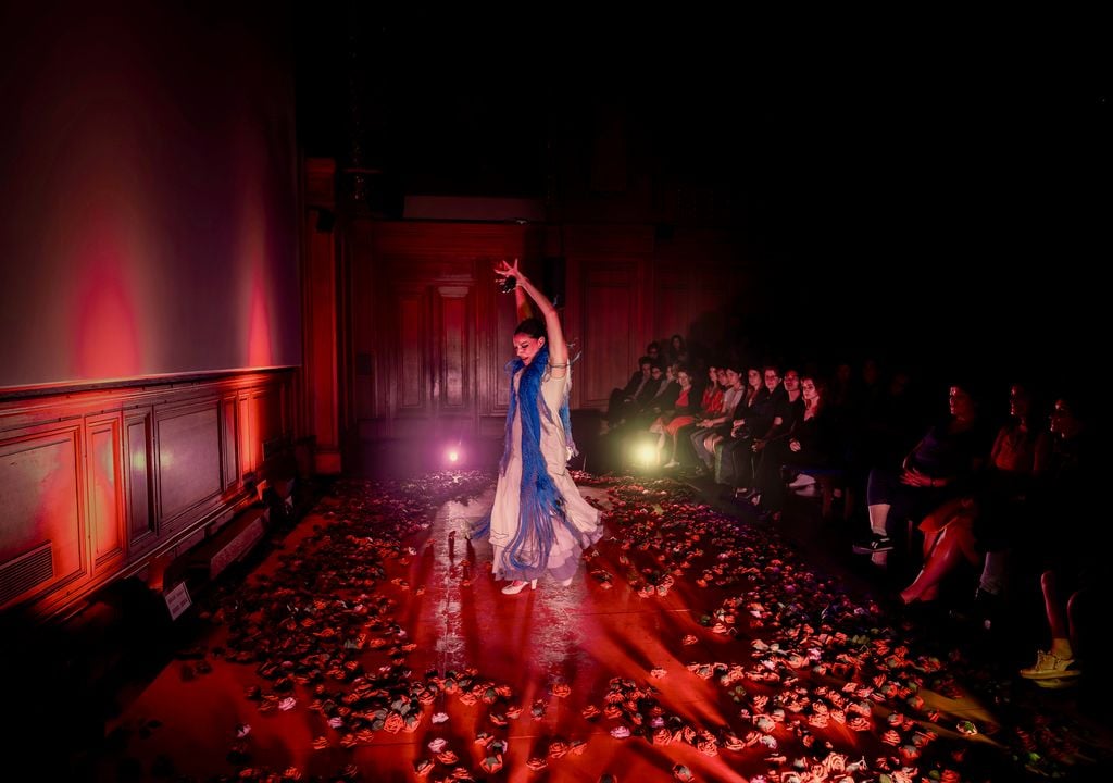 We call it flamenco, panorama en Santiago de Chile.