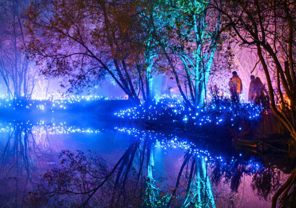 Light Cycles, experiencia inmersiva en Santiago. Light Cycles, experiencia inmersiva en Santiago.