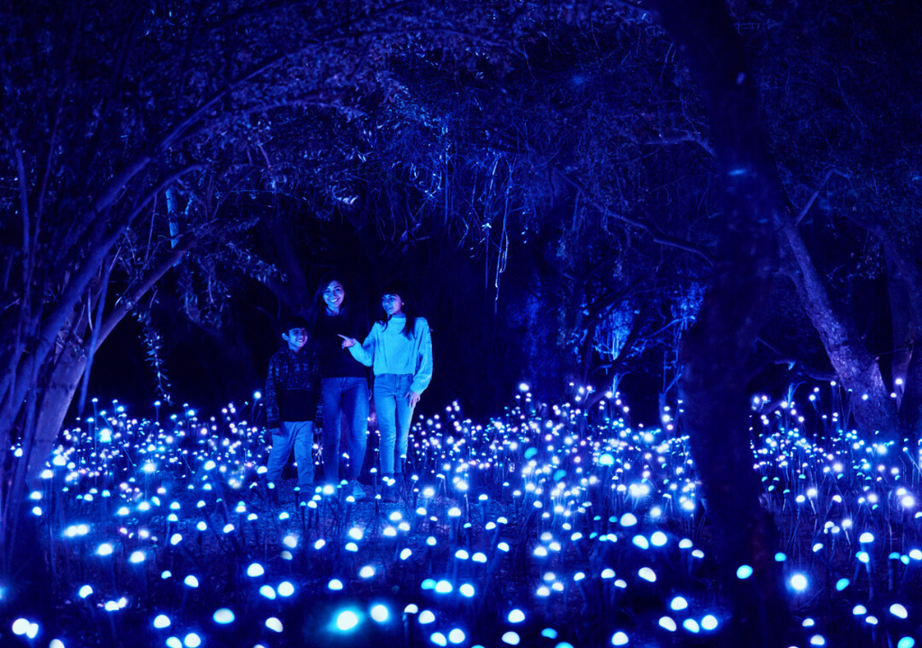 Light Cycles en Parque Metropolitano de Santiago.