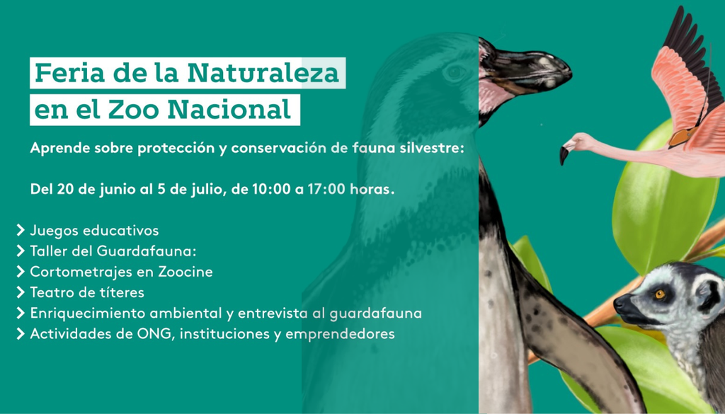 Durante las vacaciones de invierno se realizarán diversas actividades en el Zoológico Nacional. Crédito: Parque Metropolitano.