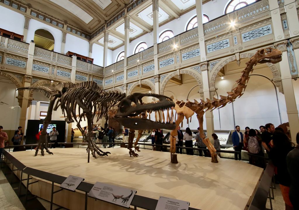 Exposición Dinosaurios del fin del mundo en Quinta Normal. Exposición Dinosaurios del fin del mundo en Quinta Normal.