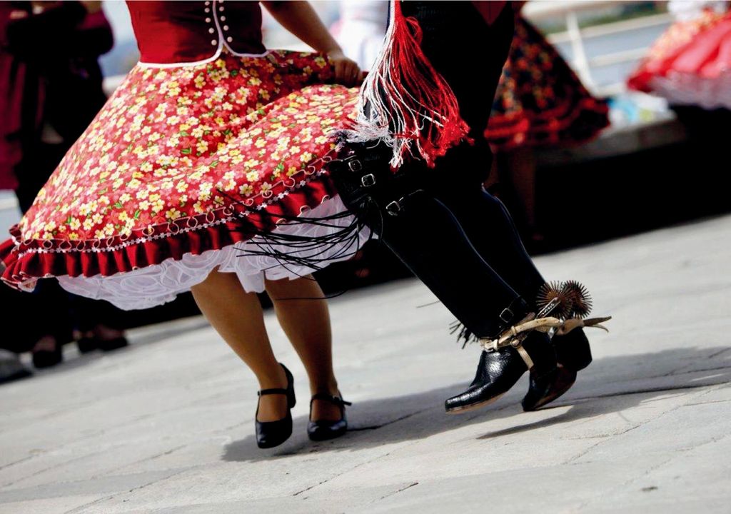 501 Cuecas por La Reina. 501 Cuecas por La Reina.