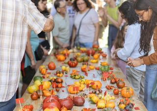 Qu&eacute; hacer en Santiago este fin de semana: los mejores panoramas del 27 de febrero al 1 de marzo