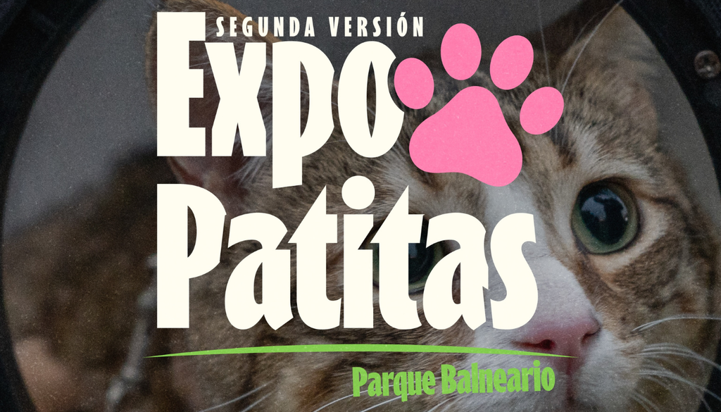 Expo Patitas en La Florida. En el parque Balneario de La Florida se hará un gran encuentro pet friendly. Crédito: @fomentolaflorida.
