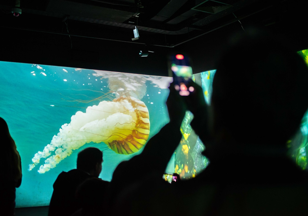 Exposición “Atacama, Océano Vivo”. Exposición “Atacama, Océano Vivo”.