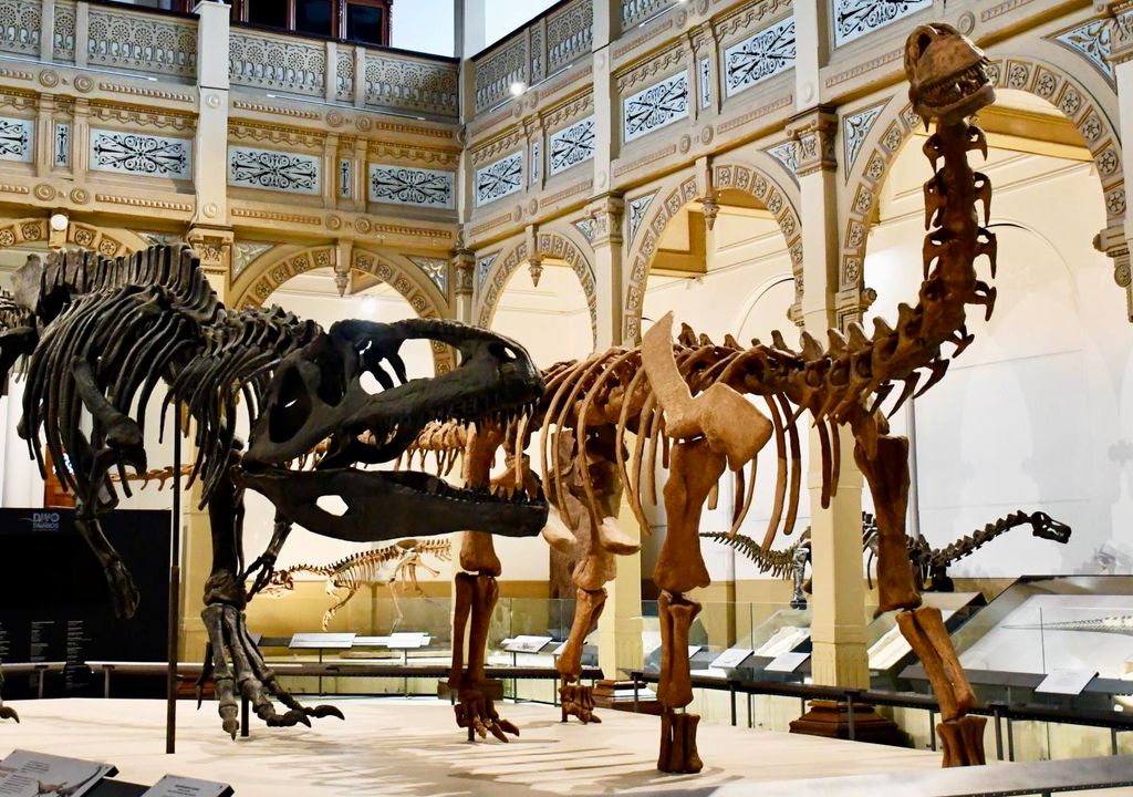 Exposición Dinosaurios del sur del mundo, Museo Nacional de Historia Natural. Exposición Dinosaurios del sur del mundo, Museo Nacional de Historia Natural.