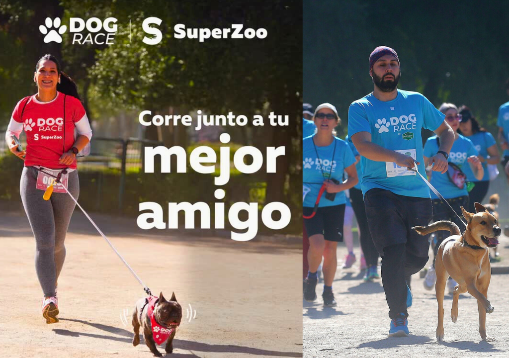 Corrida canina en Parque Padre Hurtado, Santiago. Corrida canina en Parque Padre Hurtado, Santiago.