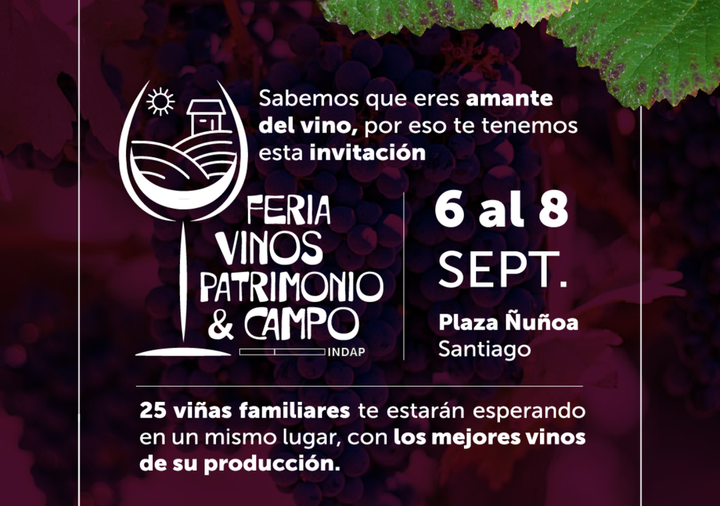 Feria de vinos de Ñuñoa. Feria de vinos de Ñuñoa.